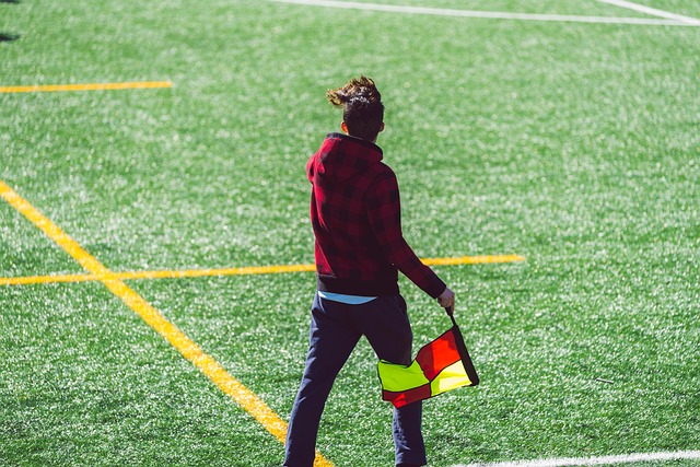 严谨科学的 严谨科学的