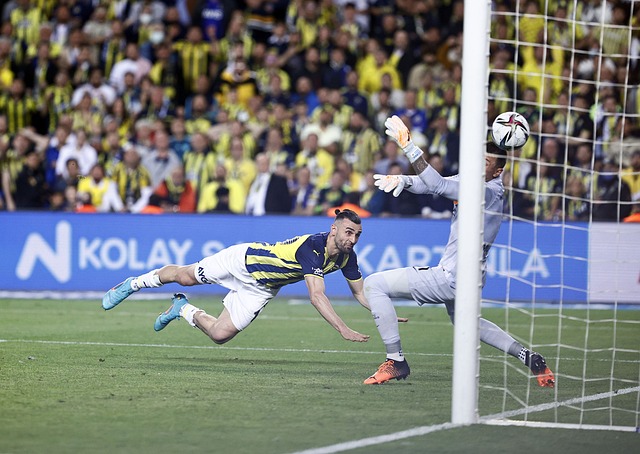 更是一生的 更是一生的