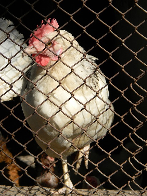 員的全面性 員的全面性