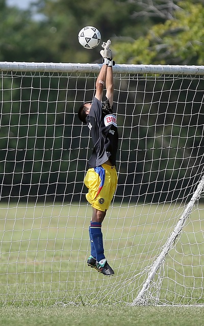 其他成员奋 其他成员奋