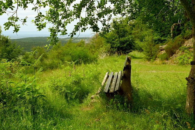 广州队更具 广州队更具